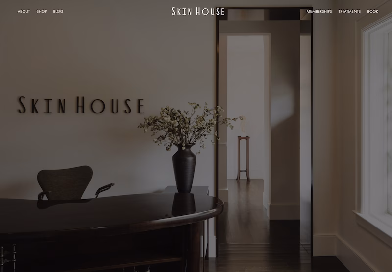 skin house 1