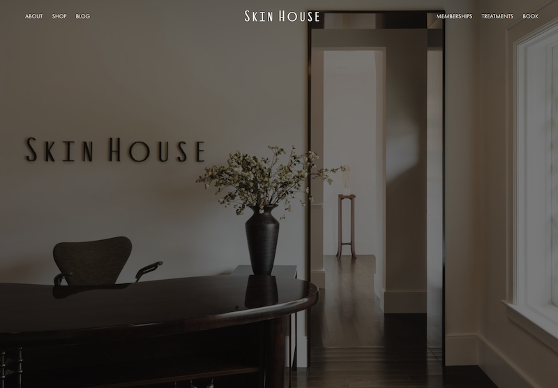 Skin House 7 skin house 1