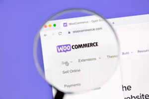 WooCommerce development, WooCommerce solutions, custom WooCommerce, scalable ecommerce, WooCommerce optimization, WooCommerce experts