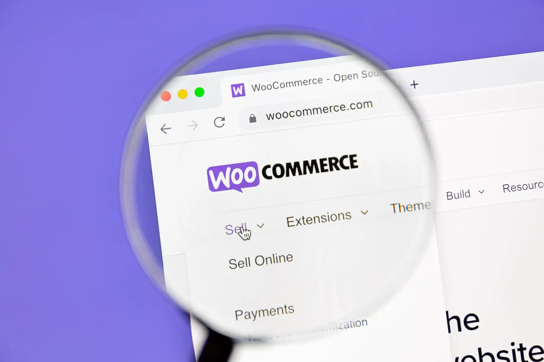 WooCommerce 1 woocommerce