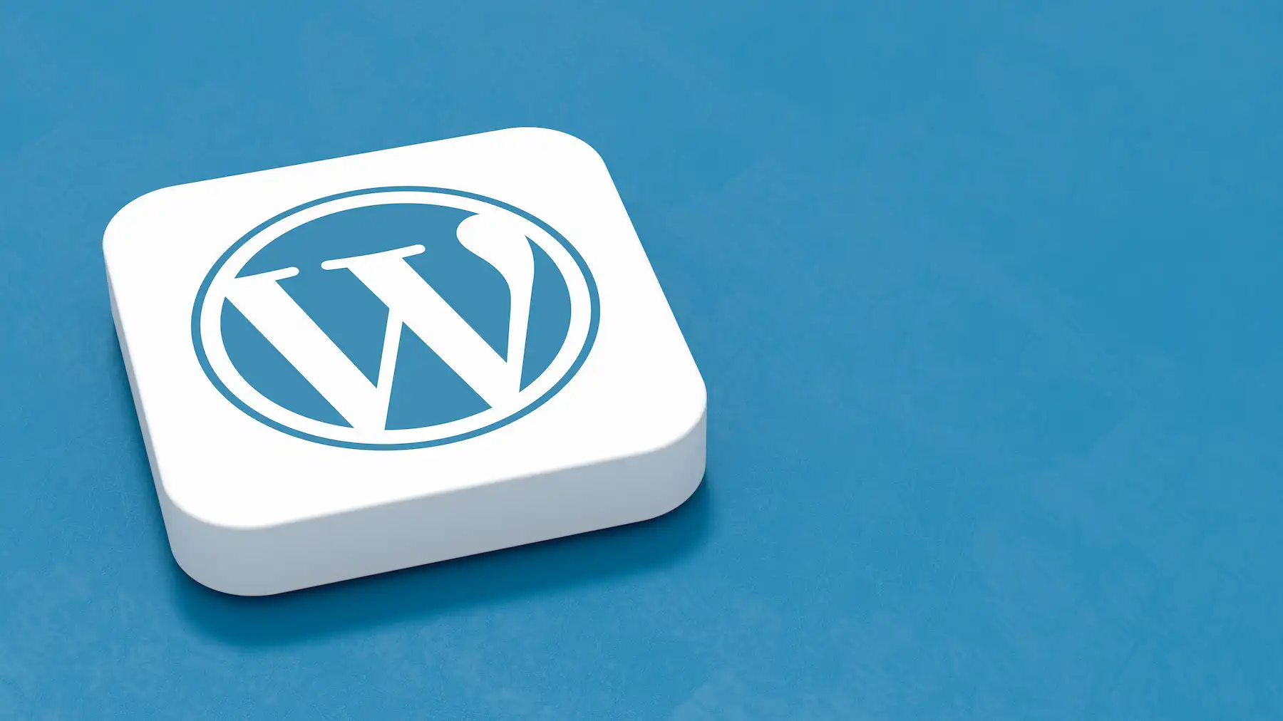 WordPress 1 wordpress